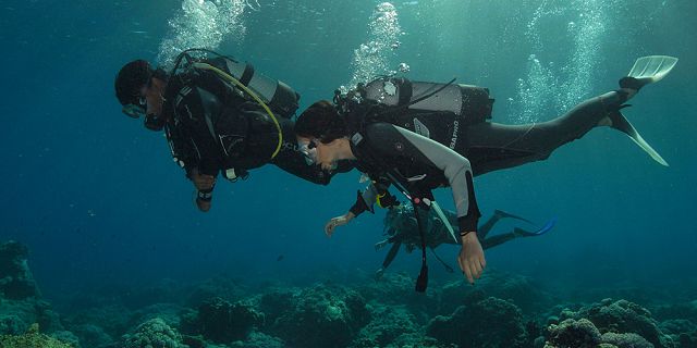 Try scuba diving package (3)